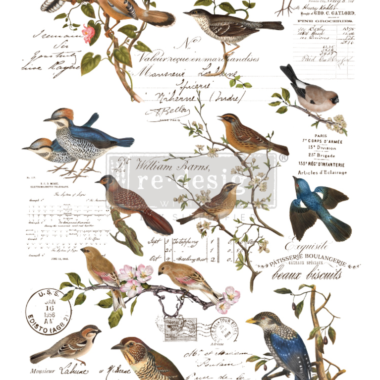 Decor Transfer "postal birds" VP.647551 61x89 cm