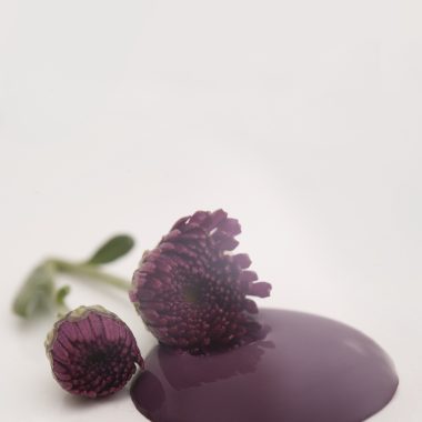 Posh Plum VP.700743